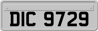 DIC9729