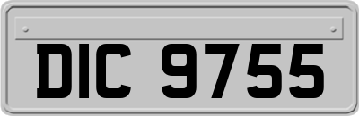 DIC9755