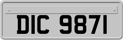 DIC9871