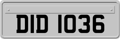 DID1036