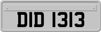 DID1313