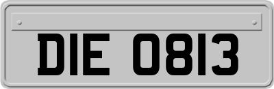 DIE0813