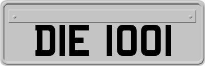 DIE1001