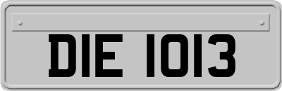 DIE1013
