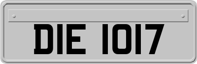 DIE1017