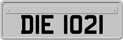 DIE1021