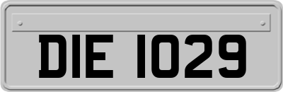 DIE1029