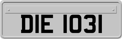 DIE1031