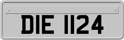 DIE1124