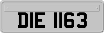 DIE1163