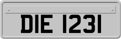 DIE1231