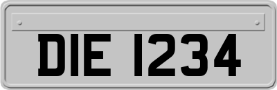 DIE1234