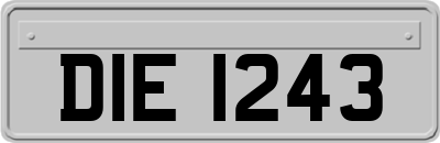 DIE1243