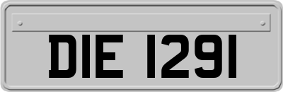 DIE1291