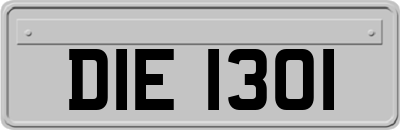 DIE1301