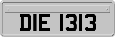 DIE1313