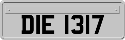 DIE1317