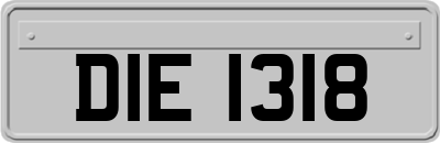 DIE1318