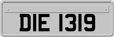 DIE1319