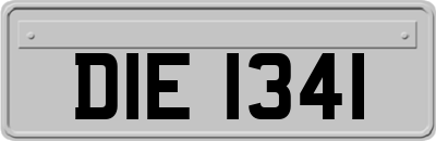 DIE1341