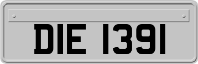 DIE1391