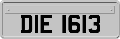 DIE1613