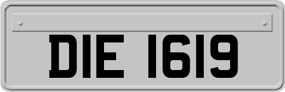 DIE1619