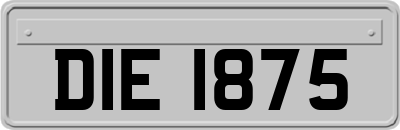 DIE1875