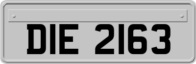 DIE2163