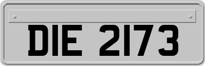 DIE2173