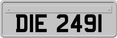 DIE2491