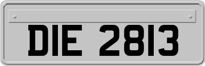 DIE2813