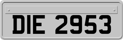 DIE2953