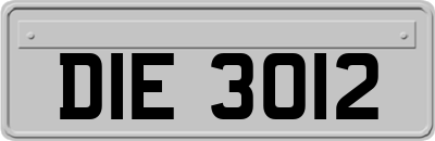 DIE3012