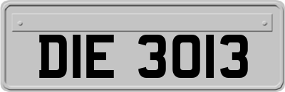 DIE3013