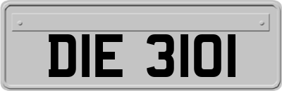 DIE3101