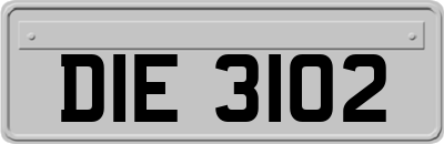 DIE3102