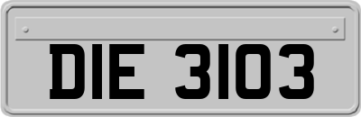 DIE3103