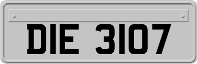 DIE3107