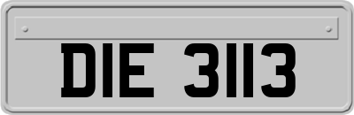 DIE3113