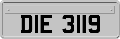 DIE3119