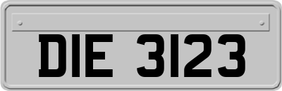 DIE3123