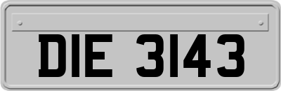 DIE3143