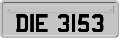 DIE3153