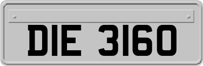 DIE3160