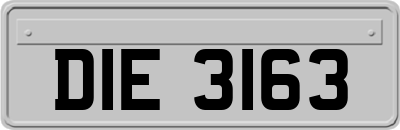 DIE3163