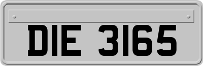 DIE3165