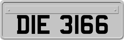 DIE3166