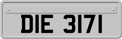 DIE3171