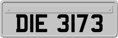 DIE3173